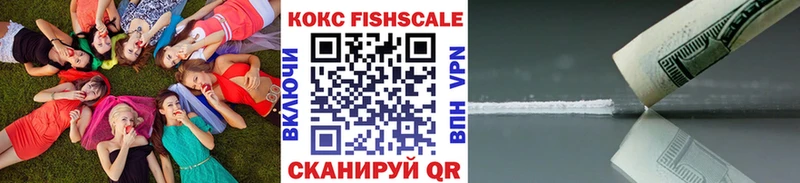 COCAIN Fish Scale  Купить закладки  Краснослободск 