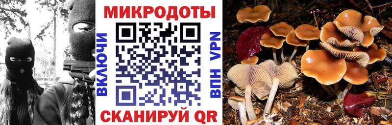 Псилоцибиновые грибы ЛСД  Купить  Краснослободск 